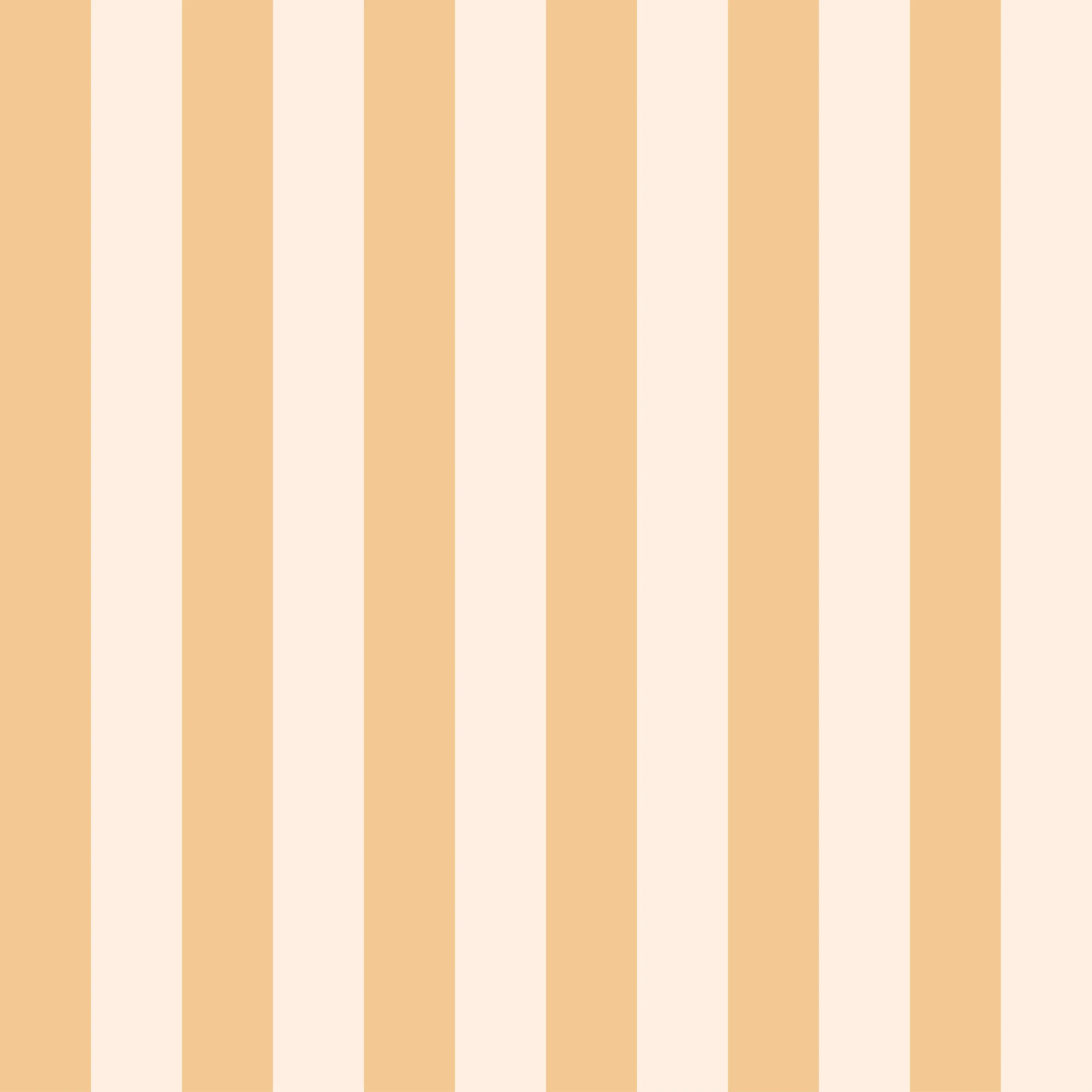 V25341-04-scaled-1.webp